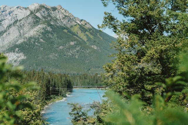 Conseils pour un voyage écotouristique réussi