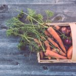 Alimentation et santé