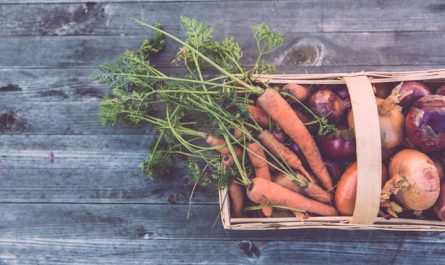 Alimentation et santé