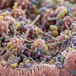 secrets du microbiote
