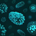 Microbiote et immunité