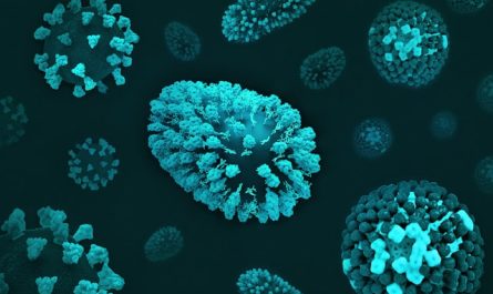 Microbiote et immunité