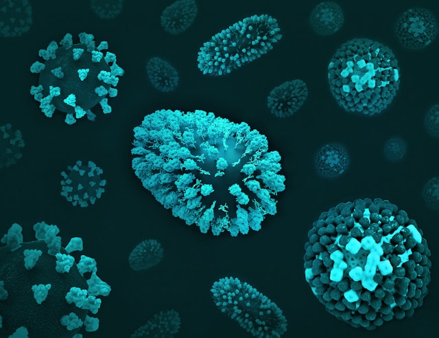 Microbiote et immunité : comprendre le lien quotidien