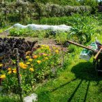 Un jardin avec un wheelbarrow, outils, plates de légumes, fleurs et serre