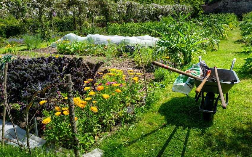 Potager en pente : retenir la terre avant de pailler