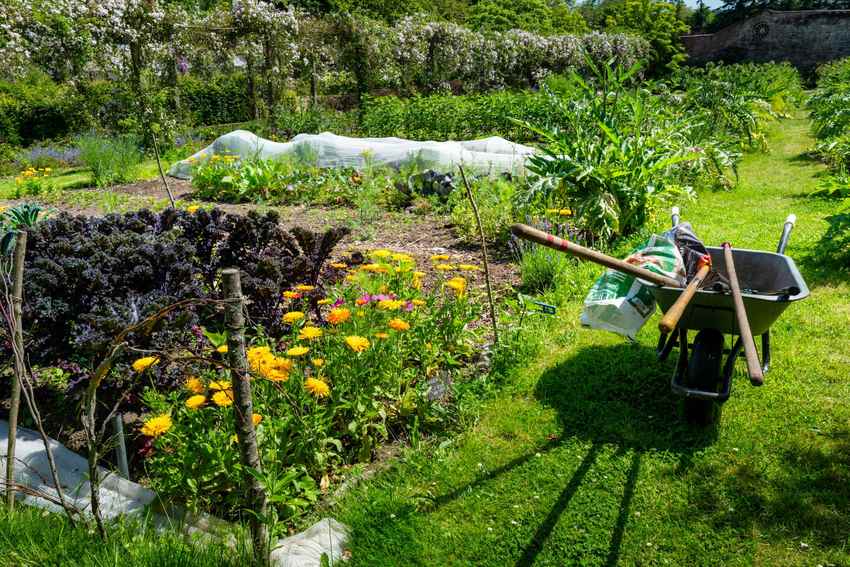 Un jardin avec un wheelbarrow, outils, plates de légumes, fleurs et serre